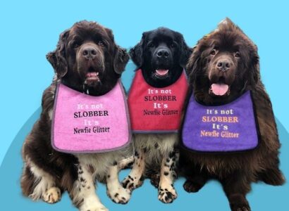 uses of a bib from DoggiesWorld