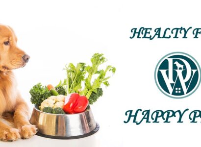 Dog health the natural way