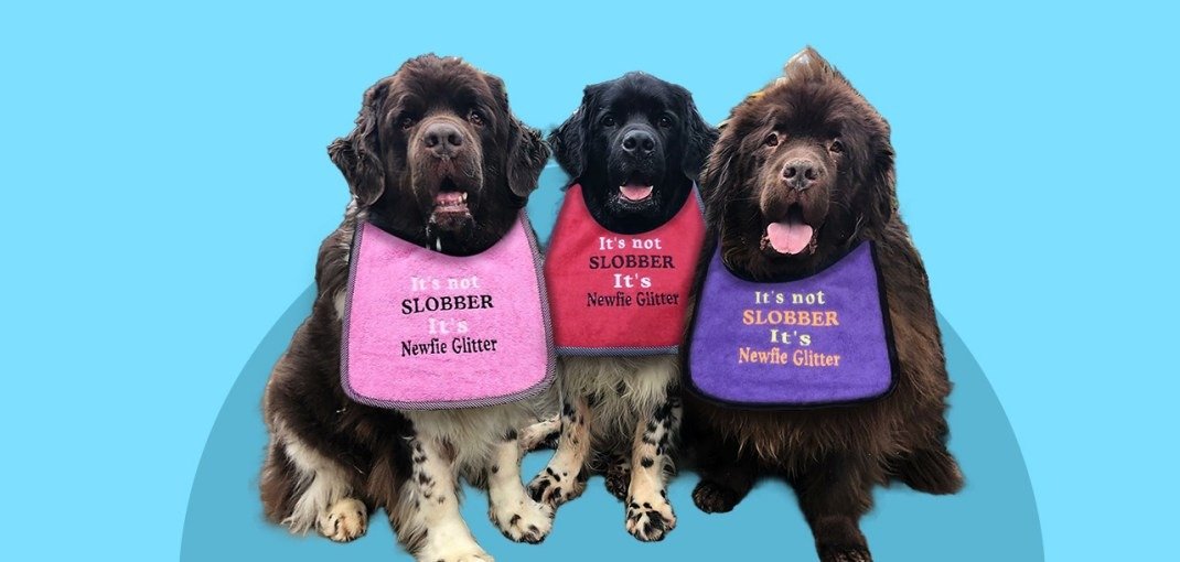 uses of a bib from DoggiesWorld
