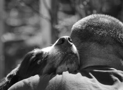 man's best friend