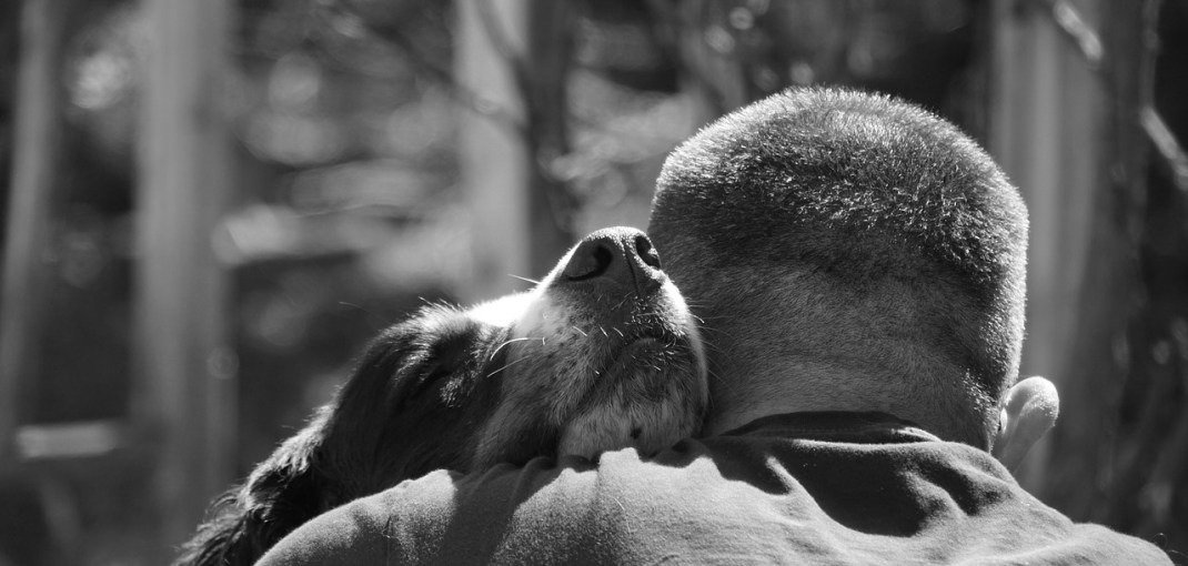 man's best friend