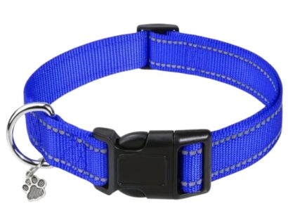 blue-collar-Photoroom