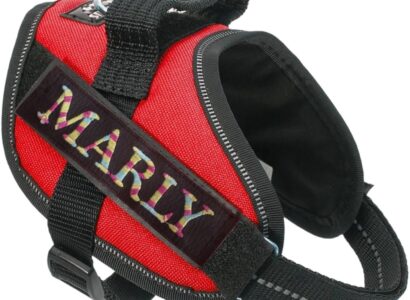 Dog harness labels personalized