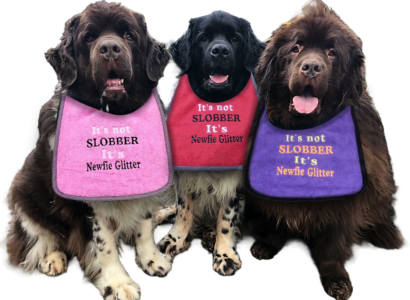 Dog wardrobe
