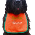 Royalty King/Queen dog bib - customize yours