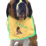 Personalised Saint Bernard Dog Bib – Full Colour Embroidery with Custom Name