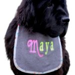 Neon-Chic Personalized Dog Bibs: Customizable Canine Couture for Your Fashionista Pup