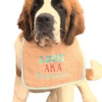 AKA exclusive personalized Dog Bib - what's your dog known as?