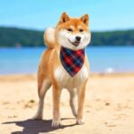 Personalised Dog Bandana Tartan – Custom Name Bandana for Dogs