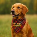 Custom Embroidered Tartan Dog Bandana – Classic Cotton Style for All Breeds