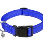 Nylon Strong Dog Collar with reflective stripes & pendant (Blue) - Adjustable sizes - safe walking