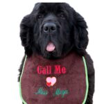 Personalised Dog Bib – “Call Me” Design with Name Embroidery – Waterproof Backing for Large & Giant Breeds