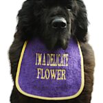 Enchanting 'DELICATE FLOWER' Cute Dog Bib: Personalized & Stylish
