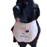 Drool art dog bib