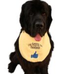 Famous on Facebook dog bib
