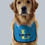 Personalised Dog Bib with Decorative Initial & Name | Waterproof, Adjustable Elastic Neck | Custom Colours & Sizes
