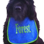 Personalized with your dog's name bib - choose colours & sizes