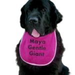 Personalized dog bib with name/wording