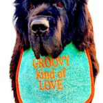 Groovy kind of Love customized & personalized dog bib - adjustable