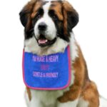 Huge & heavy sarcastic & cute dog fashionable bib - 2 colour embroidery