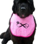 Infinity design dog bib