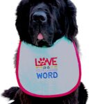 Love is a 4 legged word dog bib - Vibrant 5 colour embroidery