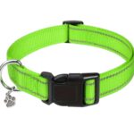 Nylon Strong Dog Collar with reflective stripes & pendant (Neon Green) - Adjustable sizes - safe walking
