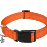 Orange Dog Collar – Reflective Stripes, Pendant, Adjustable Sizes for Safe Walking