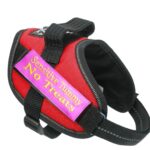 Embroidered dog harness labels - easily attached (pair)