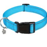 Nylon Strong Dog Collar with reflective stripes & pendant (Sky Blue) - Adjustable sizes - safe walking