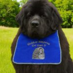 Luxury Newfoundland Dog Bib – “Slobber Happens Get Over It” – Custom Colours, Detailed Embroidery