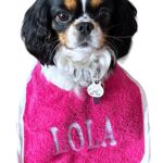 Ultimate Personalized Dog Bibs for Small Breeds - Premium, Waterproof, Handmade
