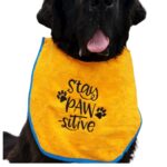 Stay pawsitive dog bib