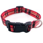 Adjustable Cotton Collar for Small Dogs