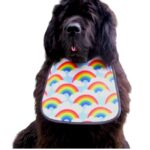 Rainbow fleece dog bib