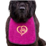 Paw & heart dog bib
