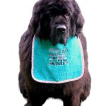 Exclusive 4 coloured bib - does your dog make your life whole?