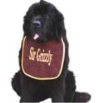Stylish dog bib personalized with name